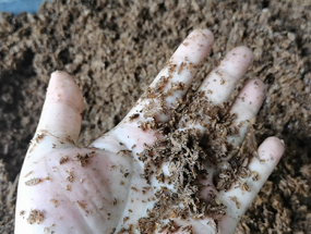 濃香型酒糟擠壓脫水，為您的生產提供解決方案！